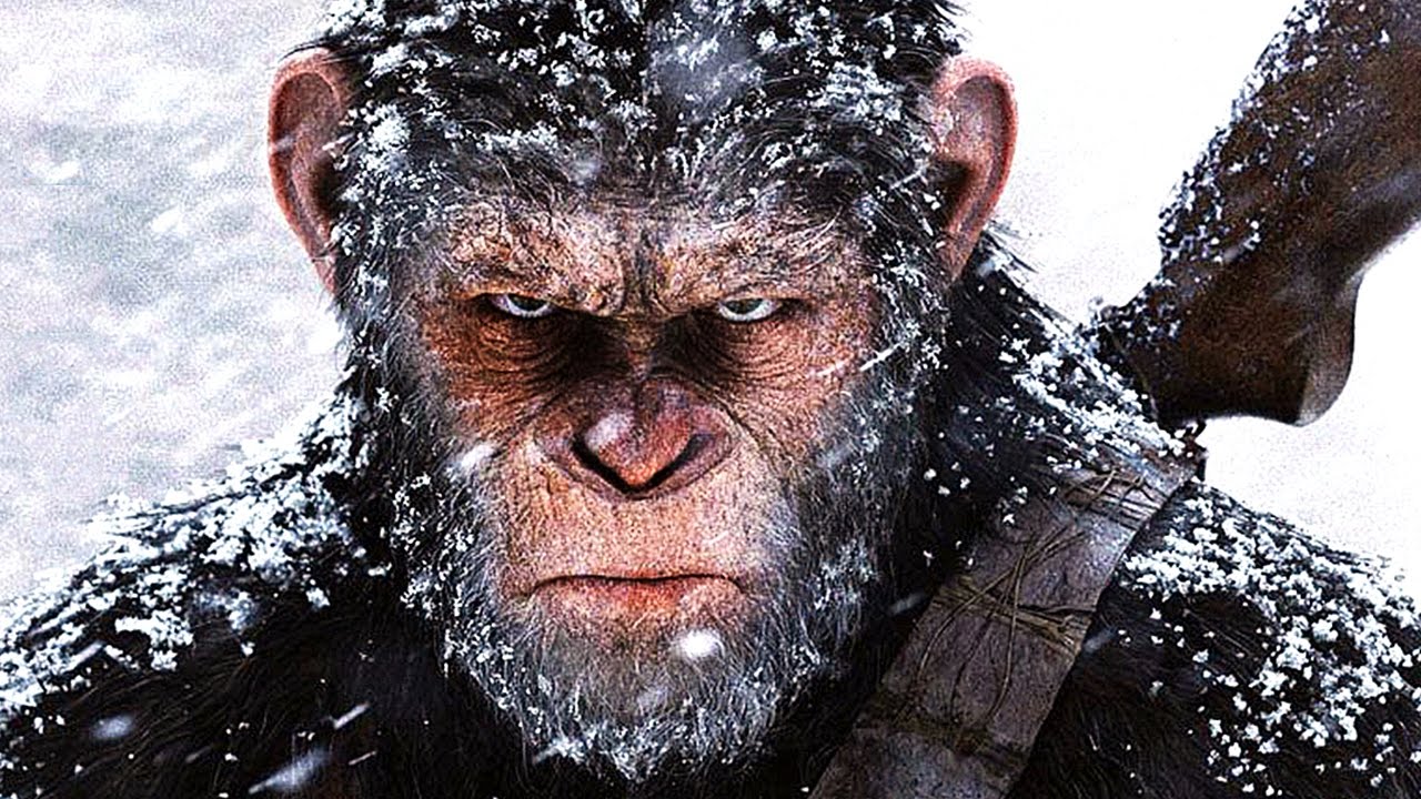 Chest-Pounding Action – War For The Planet Of The Apes (Film Review)