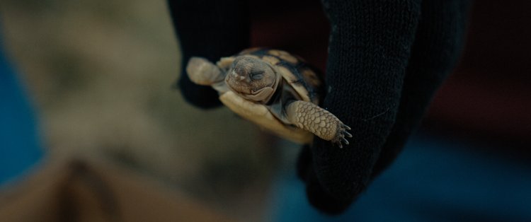 Meet The Directors Behind Oscar Contender Eco-Hack!